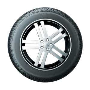 bg max sport
